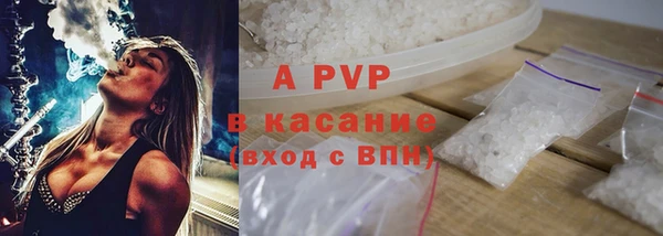 прущие грибы Пересвет