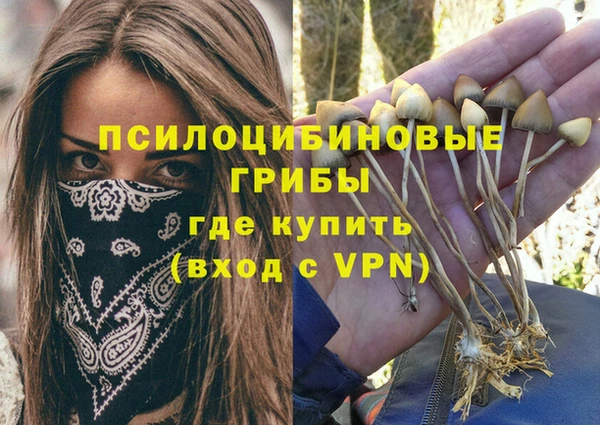 стаф Остров