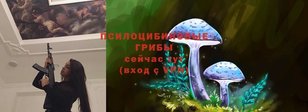COCAINE Грязовец