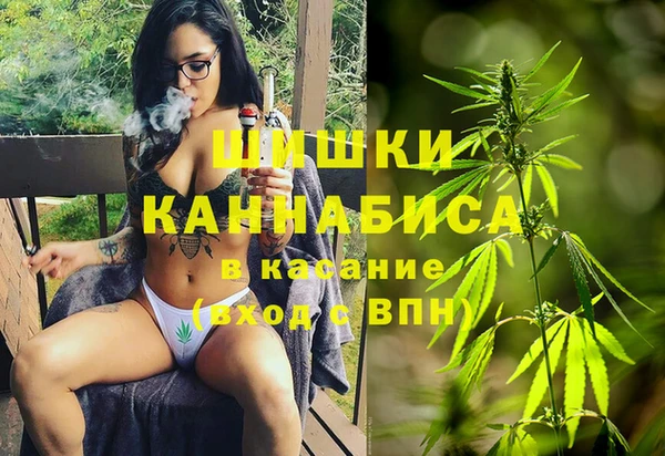 сатива Переславль-Залесский