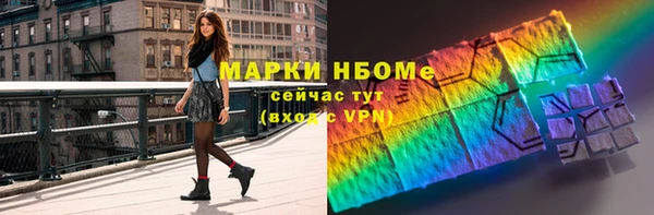 прущие грибы Пересвет