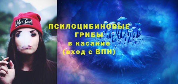 СК Грязи