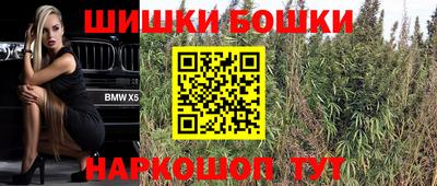 тгк Гатчина
