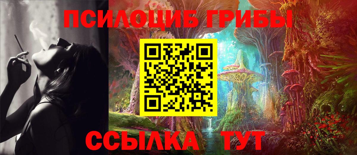 Псилоцибиновые грибы GOLDEN TEACHER Алушта