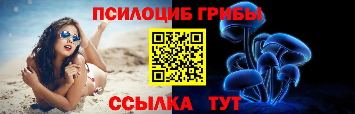 Галлюциногенные грибы Psilocybe  Галлюциногенные грибы Psilocybe  хочу   Алушта 